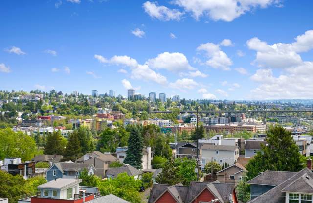 Charming 5 bedroom house with yard!! Close to SPU and UW photos photos