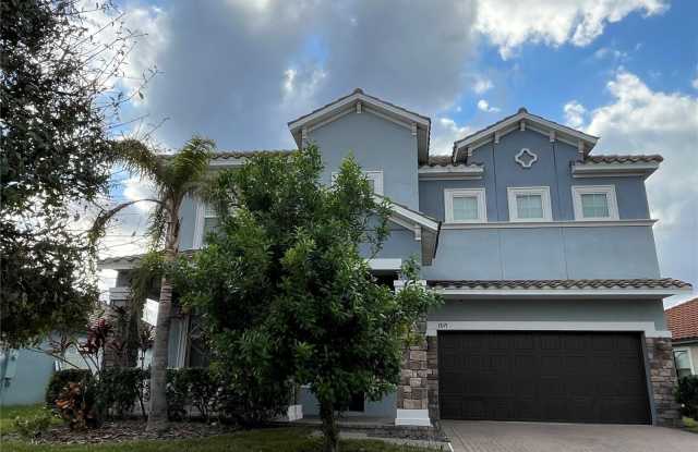 13171 GREEN VIOLET DRIVE - 13171 Green Violet Drive, Riverview, FL 33579