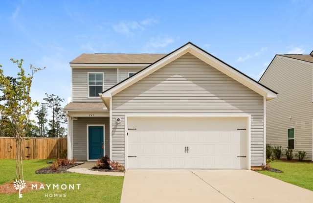 249 Parkwood Vista Way - 249 Parkwood Vista Way, Berkeley County, SC 29461