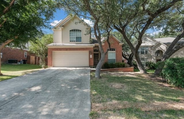 2521 Black Pine - 2521 Black Pine, Schertz, TX 78154