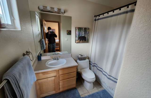 156 Robin Drive photos photos