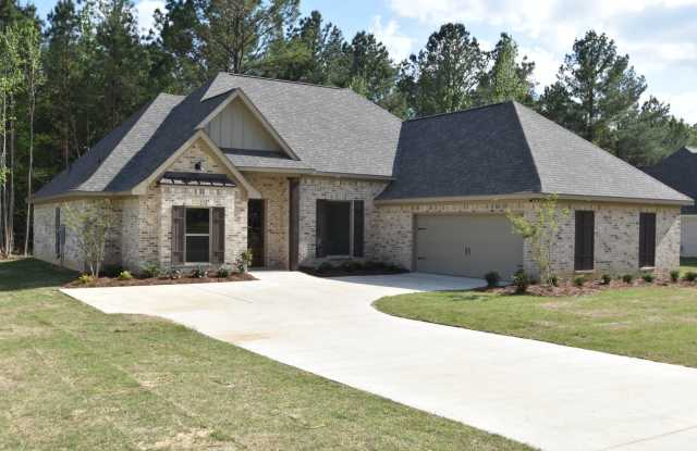 Beautiful 4 Bed 3 Bath home in Brandon!! photos photos