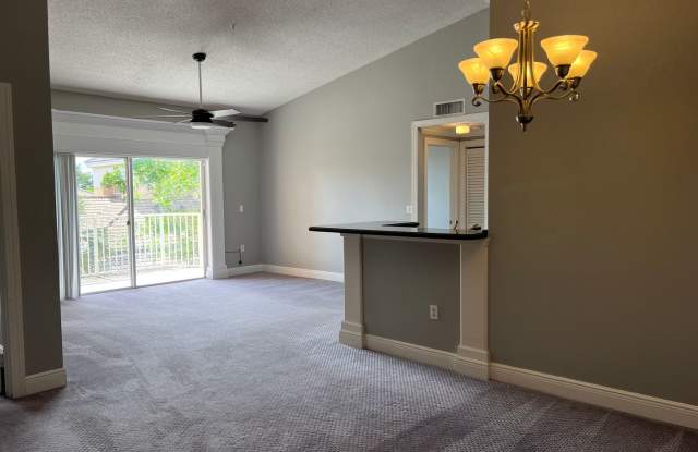Georgeous College Town 2/2 split floorplan Gallery 4