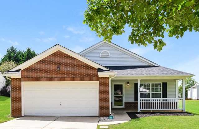 12825 Old Iron Lane - 12825 Old Iron Lane, Mecklenburg County, NC 28215