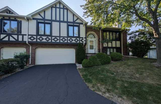 9200 Drummond Drive - 9200 Drummond Drive, Tinley Park, IL 60487