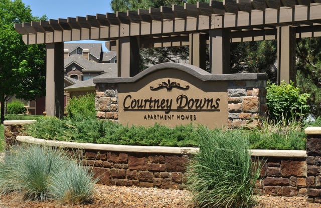 Courtney Downs Apartment Homes Gallery 2