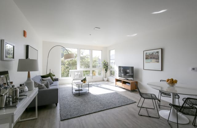Hollis Oak photos photos