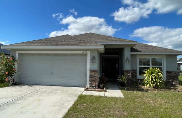 1295 Legatto Loop, Dundee, Florida 33838 photos photos