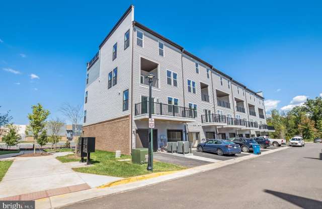 44514 WOLFHOUND Square Gallery 2