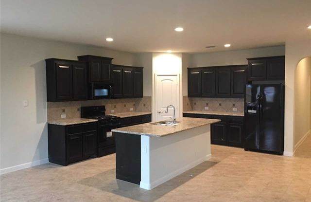 4317 Chicory Court - 4317 Chicory Ct, Corinth, TX 76210