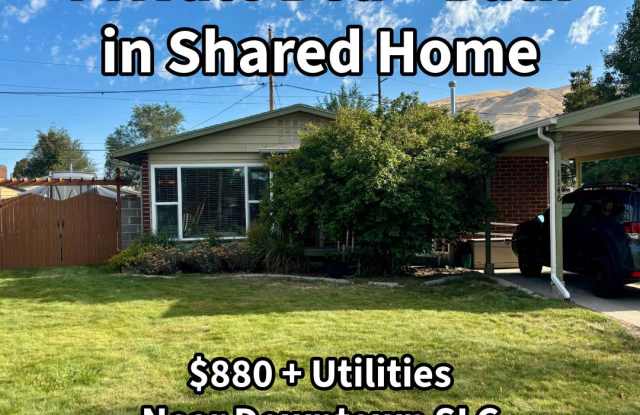 1146 Taffeta Drive photos photos