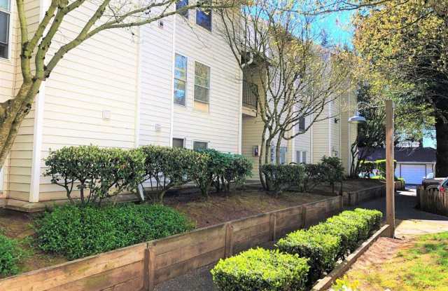 FarissWood photos photos