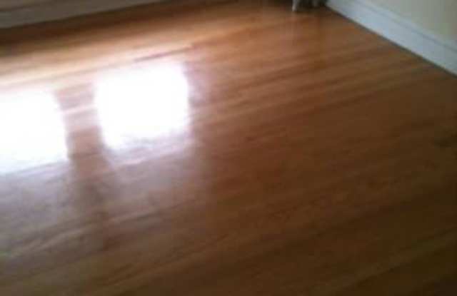 4261 W ADDISON ST. Gallery 2