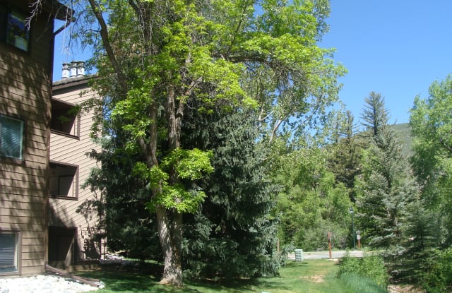 1050 West Beaver Creek Boulevard - E202 - 1050 West Beaver Creek Boulevard, Avon, CO 81632