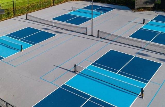 10305 Longleaf Pine Ct photos photos