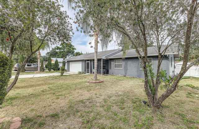 408 LAKE NED Gallery 2