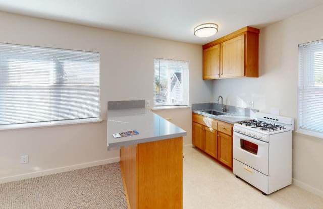 Branch, 627 photos photos