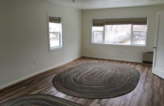 Spacious 1 bed 1 bath in Hamilton Gallery 4