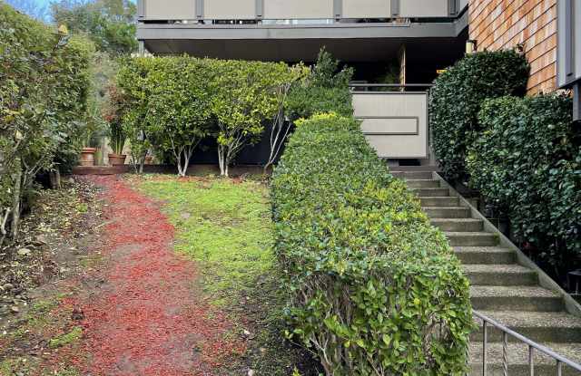 36 Redwood Avenue - 36 Redwood Avenue, Corte Madera, CA 94925