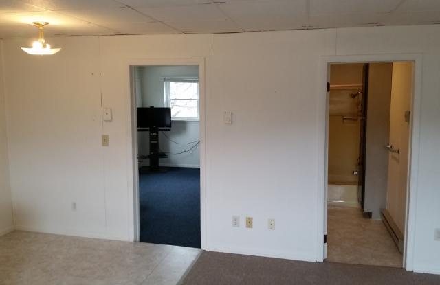 701 North Front Street - 701 North Front Street, Liverpool, PA 17045