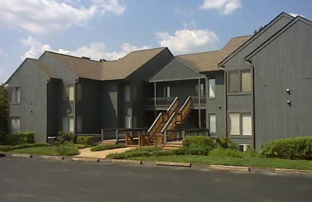 1 Bedroom Condo in Lake Vista photos photos