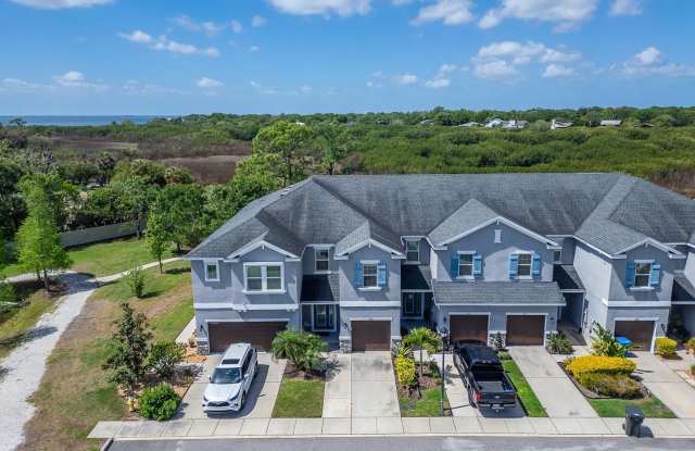 Comfort, Convenience & Gated Community Living in the Heart of Tampa ! Gallery 3