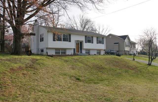 2030 Bridle Ln - 2030 Bridle Lane, Cave Spring, VA 24018