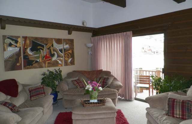 Amazing Mt. CB location, walk to the resort! - 755 Gothic Road, Mount Crested Butte, CO 81225