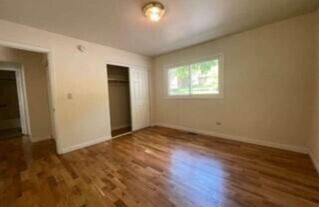 251 Elmwood Ave Gallery 4