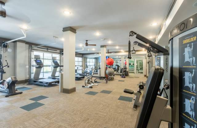 Amberleigh South photos photos