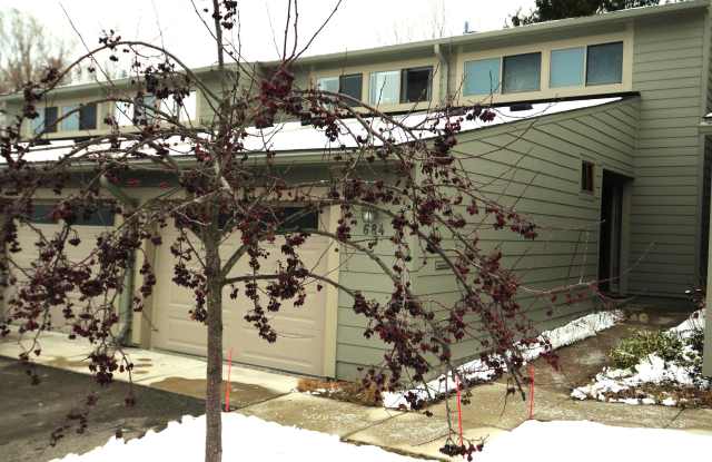 684 Peninsula Court - 684 Peninsula Court, Ann Arbor, MI 48105