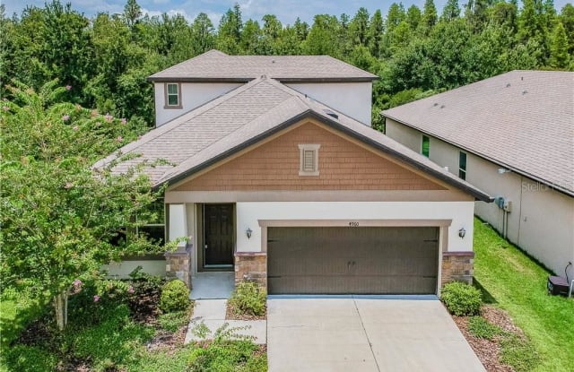 4960 ROLLING GREENE DRIVE - 4960 Rolling Green Dr, Wesley Chapel, FL 33543