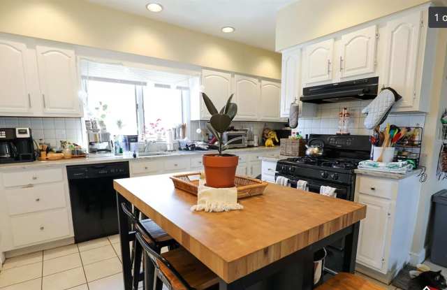 Spacious 4 Bed / 2 Bath in Brighton – In-Unit Laundry – Pet Friendly – 9/1 Move-In photos photos