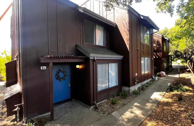 Updated 2-Bedroom Townhome in Novato photos photos