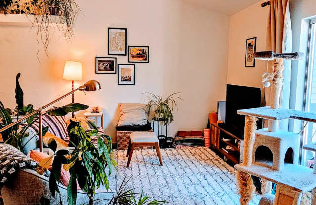 111 East Oak Avenue #28 - 1 Gallery 3