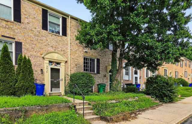 9814 RAINLEAF Court Gallery 4