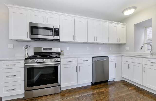 21 Rowell Street - 21 Rowell Street, Boston, MA 02125