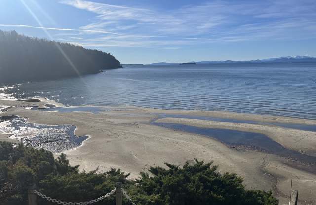Little Eagle Bay Gallery 2