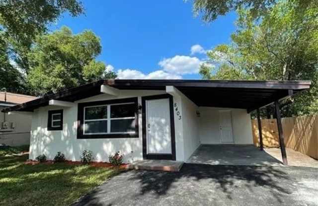 Charming 3BR House in Tampa photos photos Charming 3BR House in Tampa photos photos