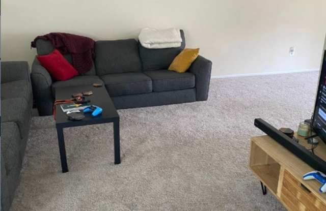 7726 Acrocomia Dr Gallery 4