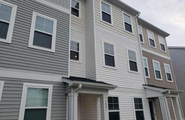 1005 Tea Time Trail - 1005 Tea Time Trail, Durham County, NC 27560