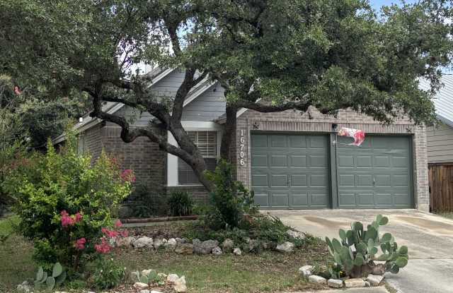 16706 Cedar Tree Way photos photos