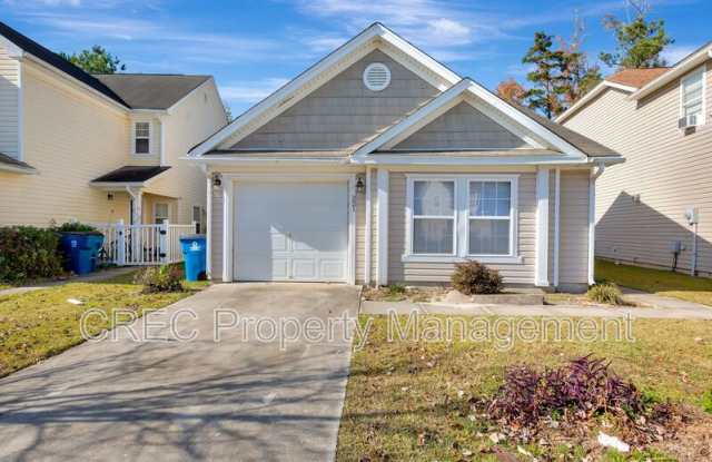 221 Chemistry Circle - 221 Chemistry Circle, Dorchester County, SC 29456