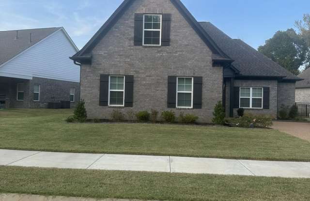 3158 Meadows Way photos photos
