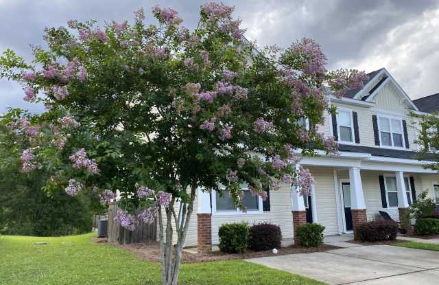 9073 Parlor Drive - 9073 Parlor Drive, Dorchester County, SC 29456