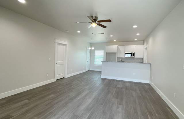 Stunning 3bd 2 ba house in brand new community Gallery 3