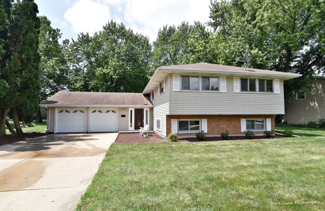 305 Carriage Hill Drive - 305 Carriage Hill Drive, Aurora, IL 60506