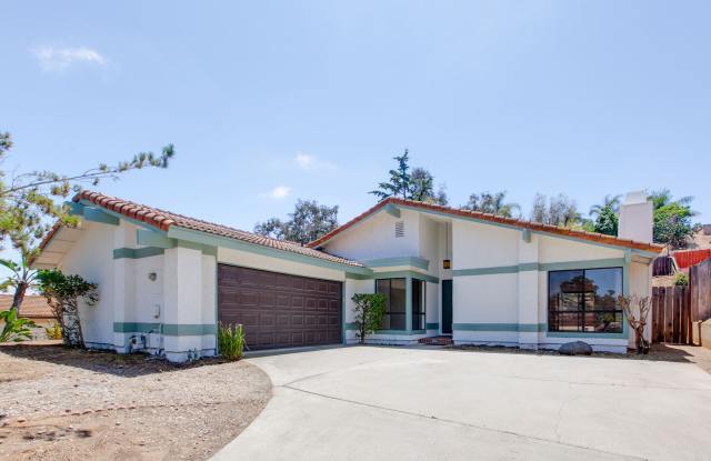 316 Anns Way - 316 Anns Way, Vista, CA 92083