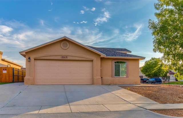 317 Jim Knowles Place - 317 Jim Knowles Place, Horizon City, TX 79928