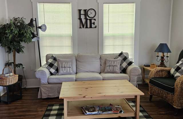 205 East Ianthe Street - 205 East Ianthe Street, Tavares, FL 32778